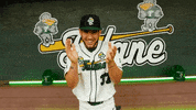 New Orleans Grant GIF by GreenWave