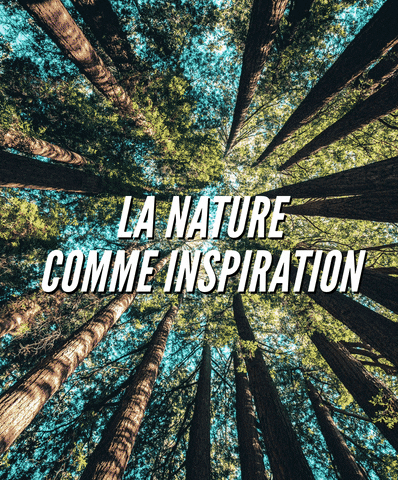 GIF by Stickers Tradi