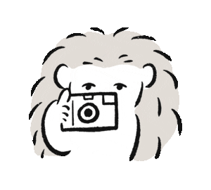 Camera Selfie Sticker