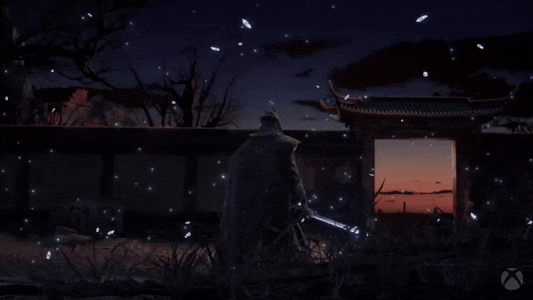 Ming Dynasty Pirate GIF by Xbox