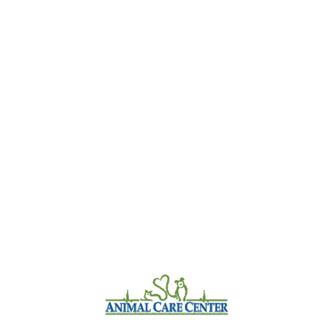 Stay Pawsitive Sticker by Animal Care Center