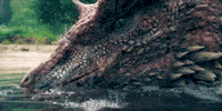 Water Drinking GIF