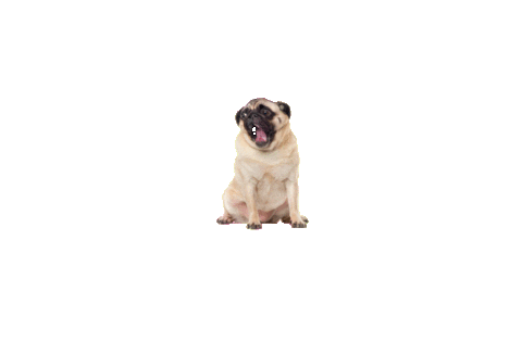 Dogs Love Sticker by Grub Club