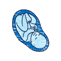 Baby Nutricia Sticker by Intracto