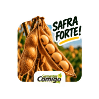 Sementes Safra Sticker by Cooperativa COMIGO