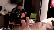 Lionel Messi Argentina GIF