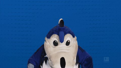 Look Up Hamburger Sv GIF by Bundesliga