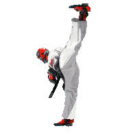 Martial Arts Kick Sticker by Walkers
