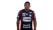 Handball-Bundesliga Hello Sticker by LIQUI MOLY HBL