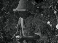 classic film GIF by Warner Archive