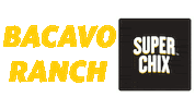chicken sandwich Sticker by Super Chix