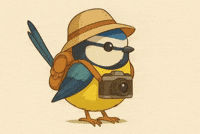 Bird Photo GIF by mahoniemoni