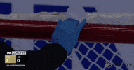 Ice Hockey GIF by NHL