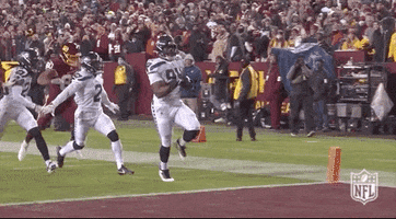 Seattle Seahawks Football GIF by NFL
