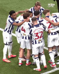 West Brom Goal GIF by West Bromwich Albion