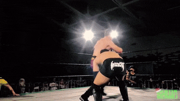 Wrestling GIF by SHWAperth