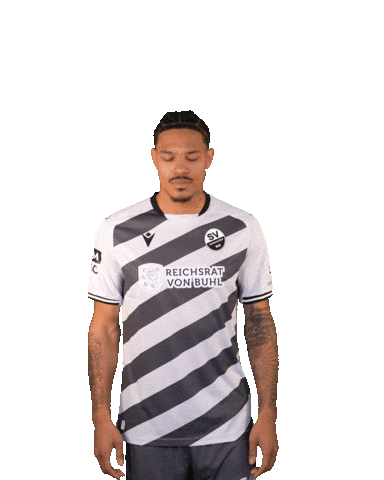 3Liga Wirechtanders Sticker by SV Sandhausen