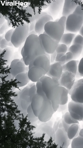 Stunning Mammatus Clouds Formed in Argentina
