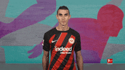 Eintracht Frankfurt Football GIF by Bundesliga