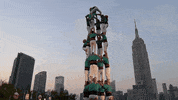 GIF by Giffffr