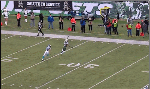 jets panthers GIF