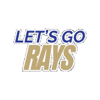 Lets Go Rays Sticker by Divine Savior Academy