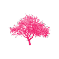 Politk Sticker by NEOS