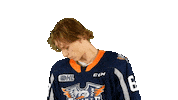Hay Sticker by Flint Firebirds