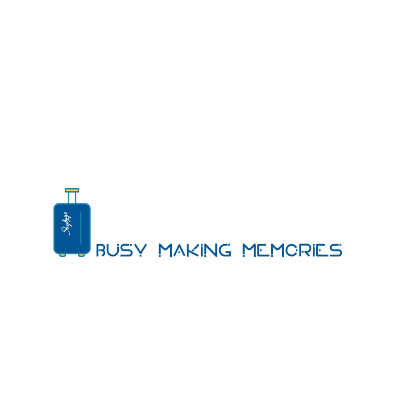 Skybags giphyupload travel vacation holidays Sticker