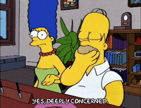 homer simpson GIF