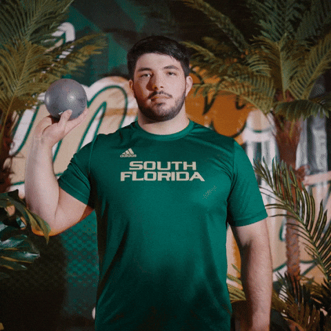 South Florida Horns Up GIF by USF Athletics