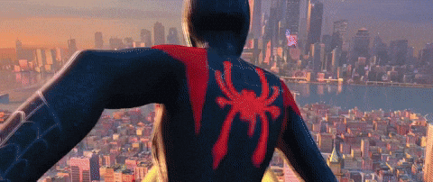 Spider-Man GIF by Spider-Man: Into The Spider-Verse