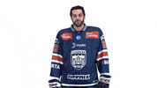 Celebration GIF by Fehervar AV19