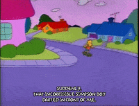 Season 2 Episode 10 GIF by The Simpsons