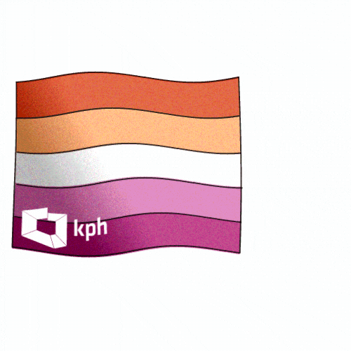 Kampania_Przeciw_Homofobii giphyupload pride lgbt flag GIF