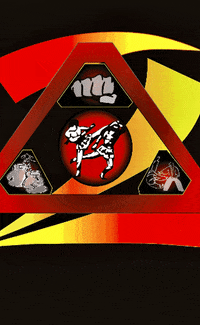 2Knuckles mma 2knuckles 2knucklesports 2knucklesportsva GIF
