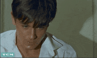 France GIF by Turner Classic Movies