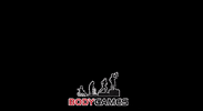 Fitness GIF by BODYGAMES