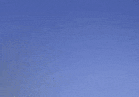 kate mckinnon dyke and fats GIF by Saturday Night Live