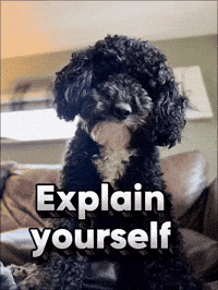 Excuse Me Seriously GIF