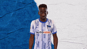 Bundesliga Berlin GIF by Hertha BSC