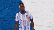 Bundesliga Berlin GIF by Hertha BSC