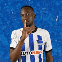 Bundesliga Berlin GIF by Hertha BSC