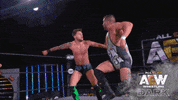 Aew GIF by ALL ELITE WRESTLING