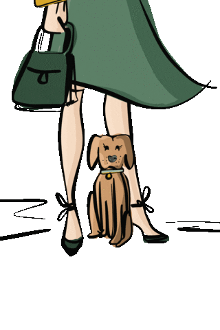 theprettymutt giphyupload fashion windy fashion dog Sticker