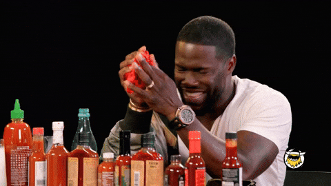 Kevin Hart Hot Ones GIF by First We Feast