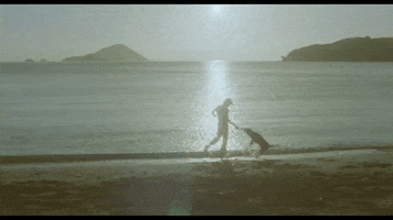 sleeping dogs GIF