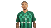 Werder Bremen Love Sticker by Bundesliga