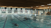 Wethebeach Virginiawesleyan GIF by VWU Marlins