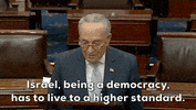 Chuck Schumer Israel GIF by GIPHY News
